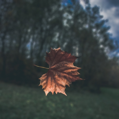 Start-slow : page de démarrage pour navigateur